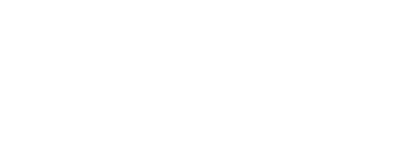 Logo Nova white